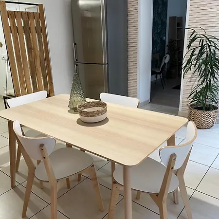 Le Moinet Fayard Apartment Vichy