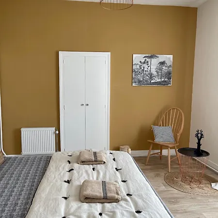 Le Moinet Fayard Apartment Vichy