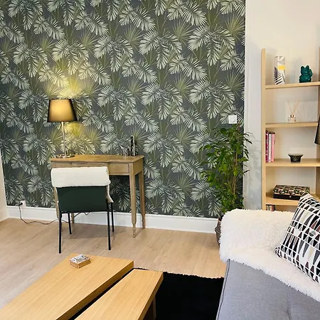 Le Moinet Fayard Apartment Vichy