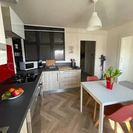 Le Moinet Fayard Apartment Vichy