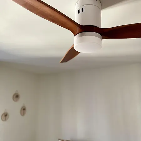 Le Moinet Fayard * ヴィシー