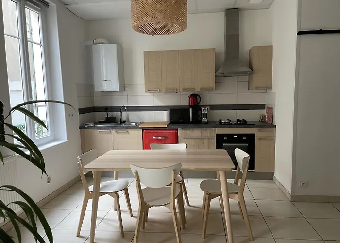 דירה Le Moinet Fayard וישי