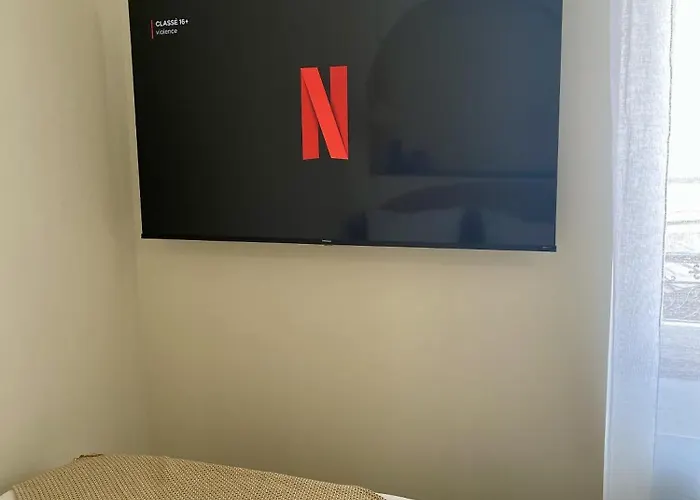 Le Moinet Fayard וישי