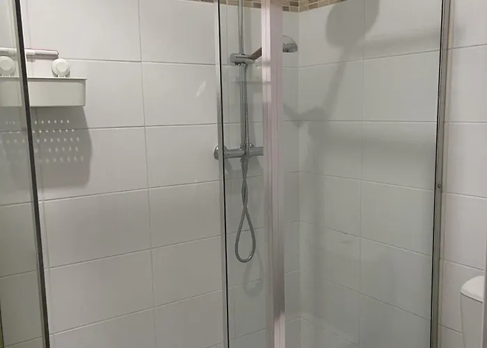 Le Moinet Fayard * וישי