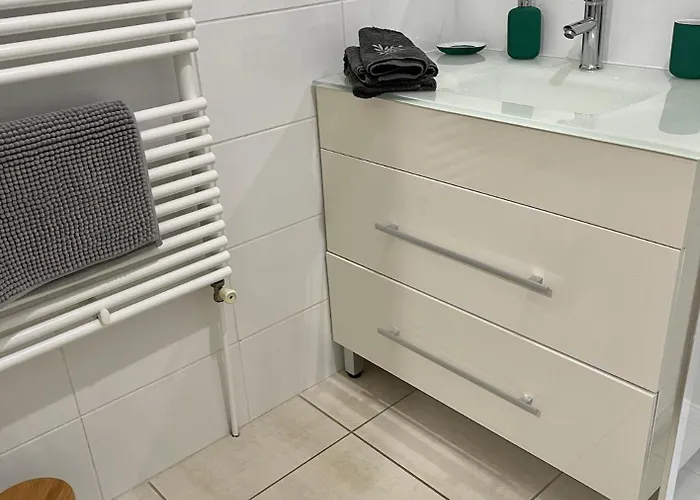 Le Moinet Fayard וישי