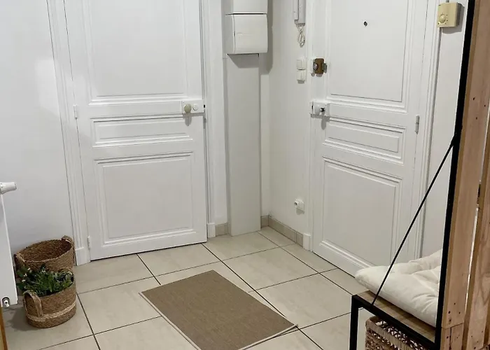 Le Moinet Fayard וישי