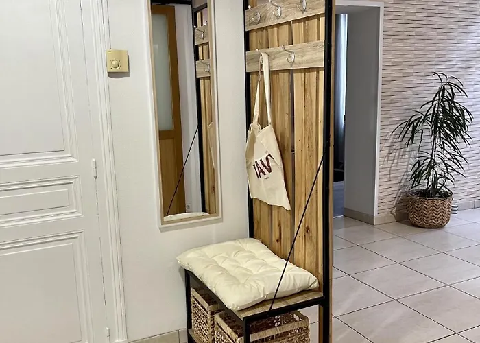 Le Moinet Fayard וישי