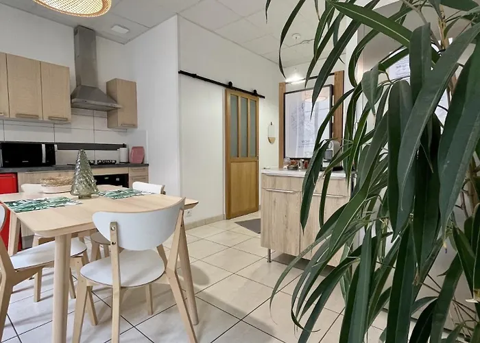 דירה Le Moinet Fayard וישי