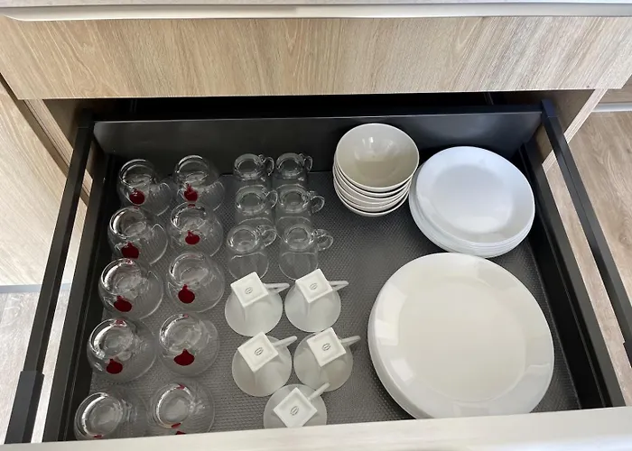 Le Moinet Fayard וישי