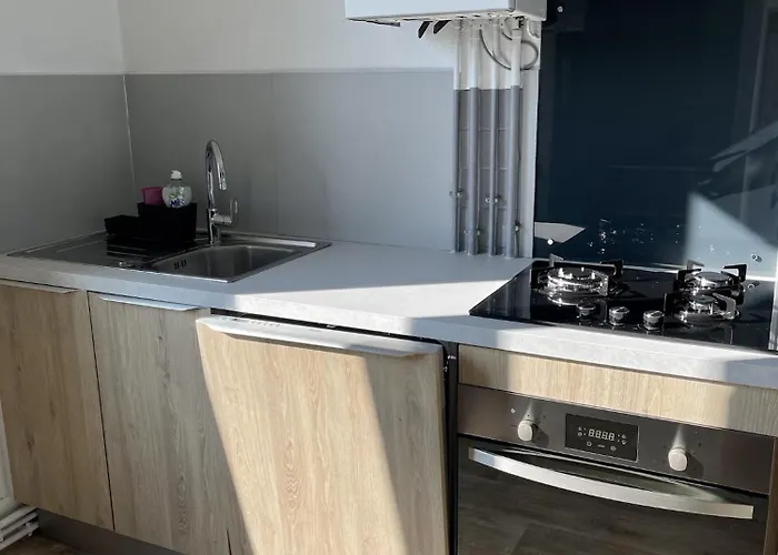 דירה Le Moinet Fayard וישי