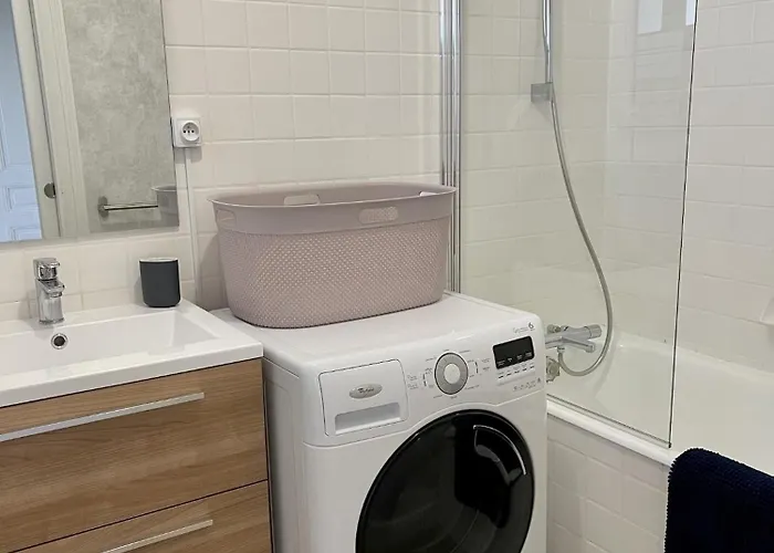 דירה Le Moinet Fayard וישי