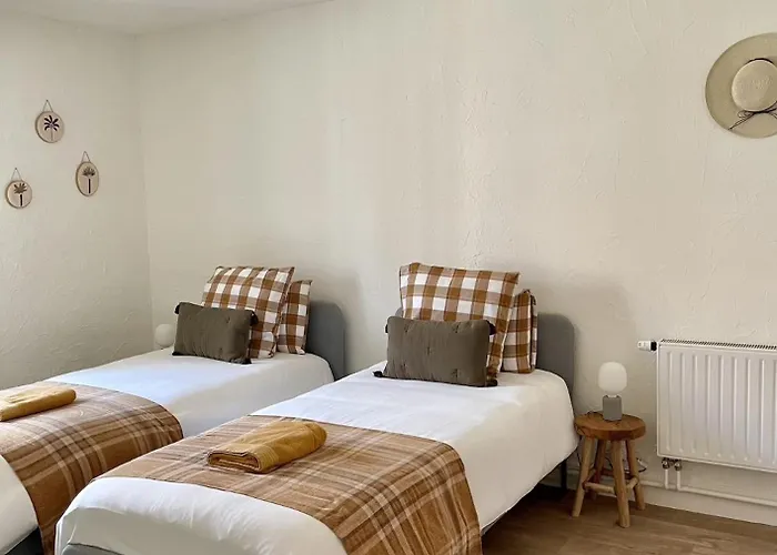 Le Moinet Fayard וישי