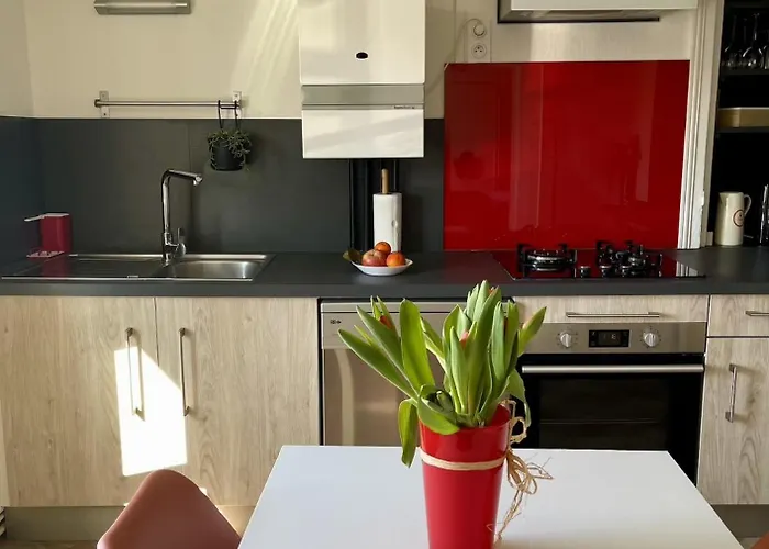 Le Moinet Fayard דירה וישי