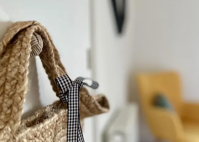 Le Moinet Fayard וישי