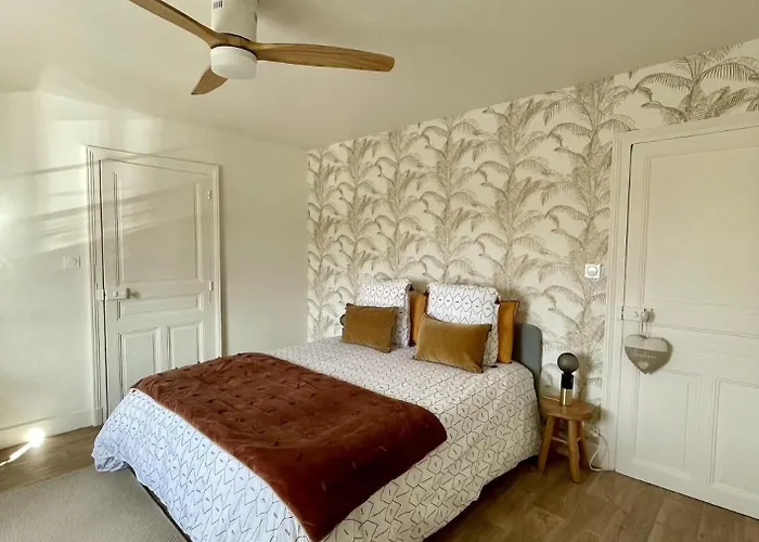 Le Moinet Fayard וישי