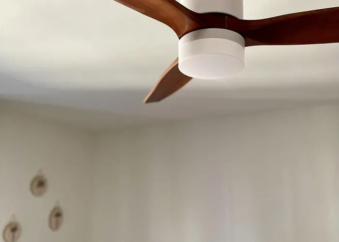 Le Moinet Fayard * וישי