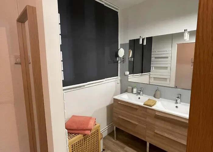 דירה Le Moinet Fayard וישי